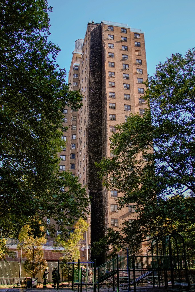 foto Not&iacute;cia Taiobeiras